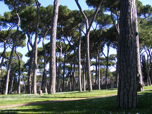 villa_borghese