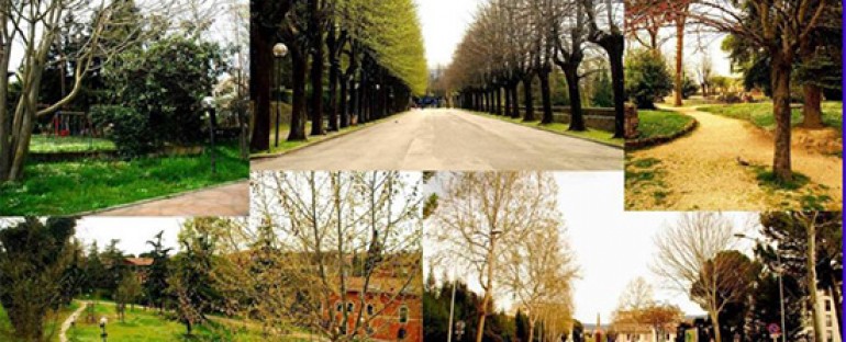 Green Infrastructures and Urban forests for improving the environment and the quality of life